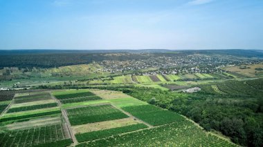 Moldova 'nın doğal manzarası, üzüm bağları, tepeler, tarlalar, uzaktaki köy