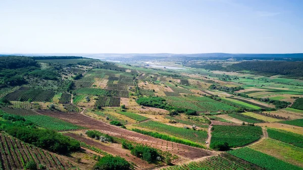 Panorama Shot Nature Moldova Vineyards Hills Fields — Stock Photo, Image