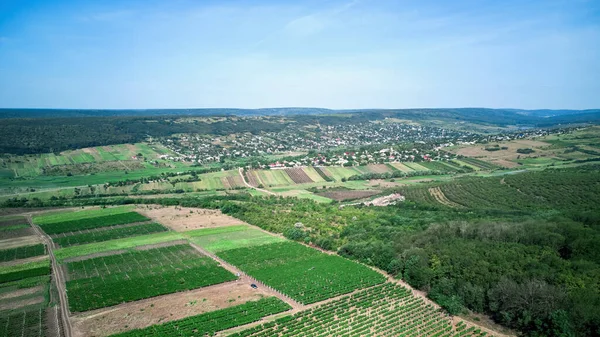Panorama Plano Naturaleza Moldavia Viñedos Colinas Campos Pueblo Distancia —  Fotos de Stock