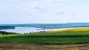 Su dolu yeşil alan, Moldova 'nın arka planında tarlalar
