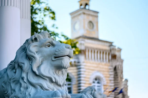 Estátua Leão Perto Edifício Município Chisinau Moldávia — Fotografia de Stock