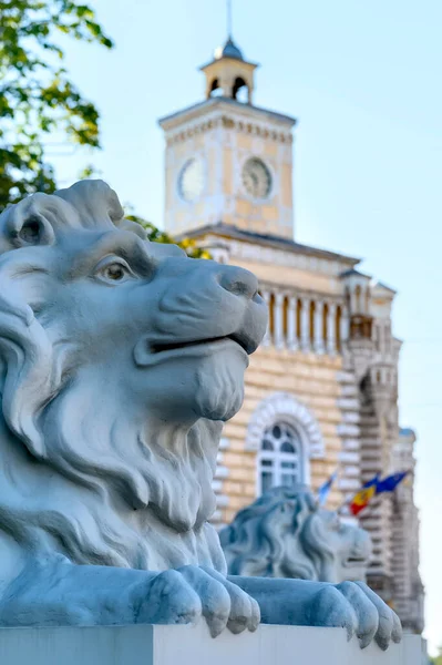 Estatua León Cerca Del Edificio Del Municipio Chisinau Moldavia —  Fotos de Stock