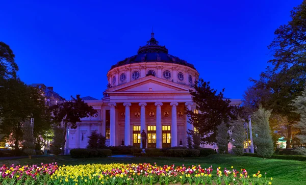 Rumuńska Athenaeum Atn Academy Theatre Bukareszcie Nocy — Zdjęcie stockowe