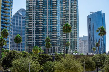 Modern tasarımı olan yüksek apartmanlar, ön planda yeşillik, San Diego, ABD 'de güneşli bir gün.