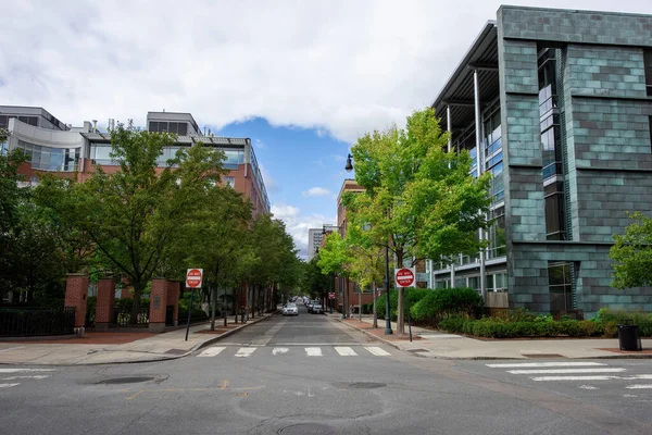 Modern Binalar Yeşil Ağaçlarla Dolu Bir Sokak Boston Abd Boş — Stok fotoğraf