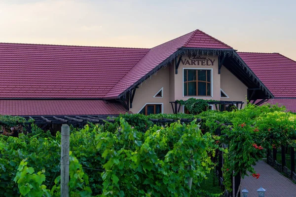 Orhei Moldova August 2020 Chateau Vartely Főépület Szőlőskertek Előtérben Bejárathoz — Stock Fotó