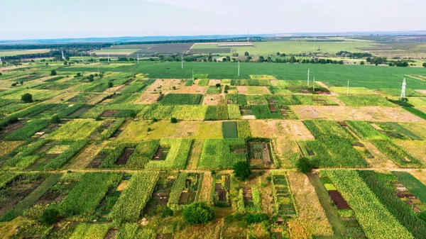 Πεδία Σπαρμένα Διαφορετικές Καλλιέργειες Θέα Από Drone Κοντά Στο Donduseni — Φωτογραφία Αρχείου