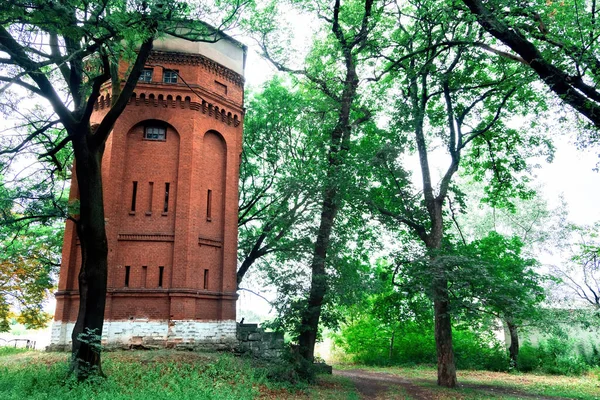 Verlassener Wasserturm Aus Rotem Backstein Mit Grünen Bäumen Moldawien — Stockfoto