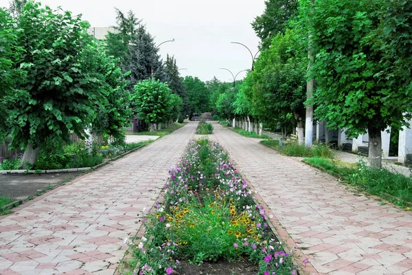 Moldova Çiçek Yatakları Yeşil Yemyeşil Ağaçlarla Dolu Yaya Caddesi — Stok fotoğraf