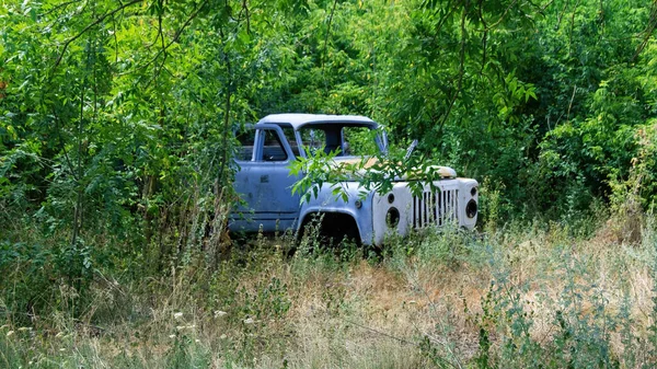 Old abandoned truck with opened doors with multiple greenery around in Moldova