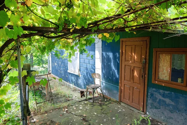 Antigua Casa Rural Con Entrada Cubierta Uva Silvestre Vegetación Alrededor —  Fotos de Stock