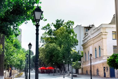 Yeşil ağaçları, kafesi, sokak lambaları ve Moldova 'nın Chisinau kentindeki eski binaları olan yaya caddesi.