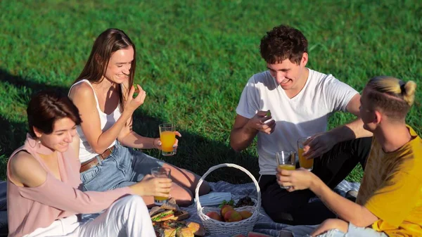 Vriendengroep Die Eten Drinken Plezier Hebben Een Picknickdeken Met Lekkernijen — Stockfoto