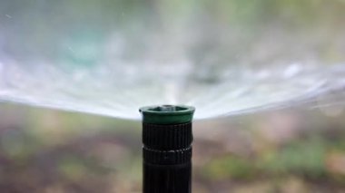 Su fıskiyesini kapatır, çimenlerin ve bitkilerin üzerine su püskürtürüm.