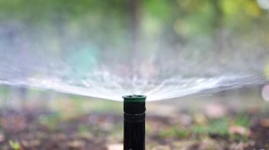 Su fıskiyesini kapatır, çimenlerin ve bitkilerin üzerine su püskürtürüm.