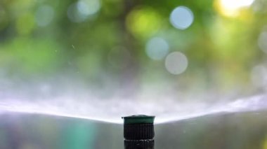 Su fıskiyesini kapatır, çimenlerin ve bitkilerin üzerine su püskürtürüm.