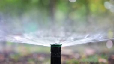 Su fıskiyesini kapatır, çimenlerin ve bitkilerin üzerine su püskürtürüm.