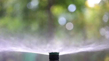 Su fıskiyesini kapatır, çimenlerin ve bitkilerin üzerine su püskürtürüm.