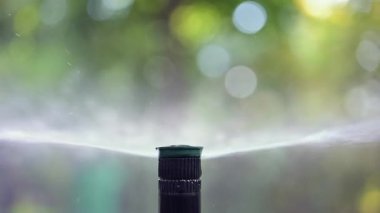 Su fıskiyesini kapatır, çimenlerin ve bitkilerin üzerine su püskürtürüm.