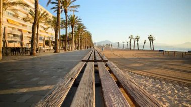 İspanya 'nın Alicante kentinde gün doğumunda sahil kenarında bir palmiye ağacında yürüyen insanların zaman aşımı.