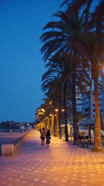 Alicante, İspanya - 19 Mayıs 2025: İnsanlar akşamları plajın yakınındaki bir palmiye ağacında yürüyorlar. Dikey