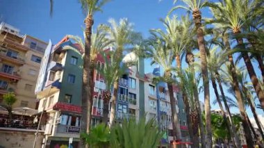 Benidorm, İspanya - 25 Mayıs 2025: Dove Park 'taki yüksek hurma palmiyelerine bakan renkli daireler