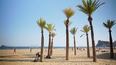 Benidorm, İspanya - 24 Mayıs 2025: İnce palmiyeler sahilde dinlenen insanları çerçeveliyor