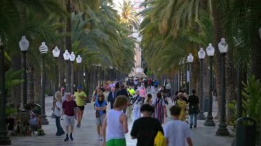 Alicante, İspanya - 26 Mayıs 2025: Palmiye çizgili Espana 'da dalgalı mozaik fayanslarıyla yoğun bir akşam yürüyüşü