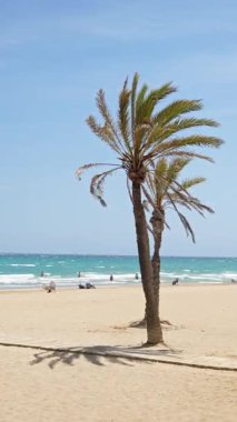 Benidorm, Spain - May 30, 2025: Wide sandy Levante Beach lined with palms and summer crowds, with Benidorm skyline and Puig Campana mountain ridge hazy in the background. Vertical