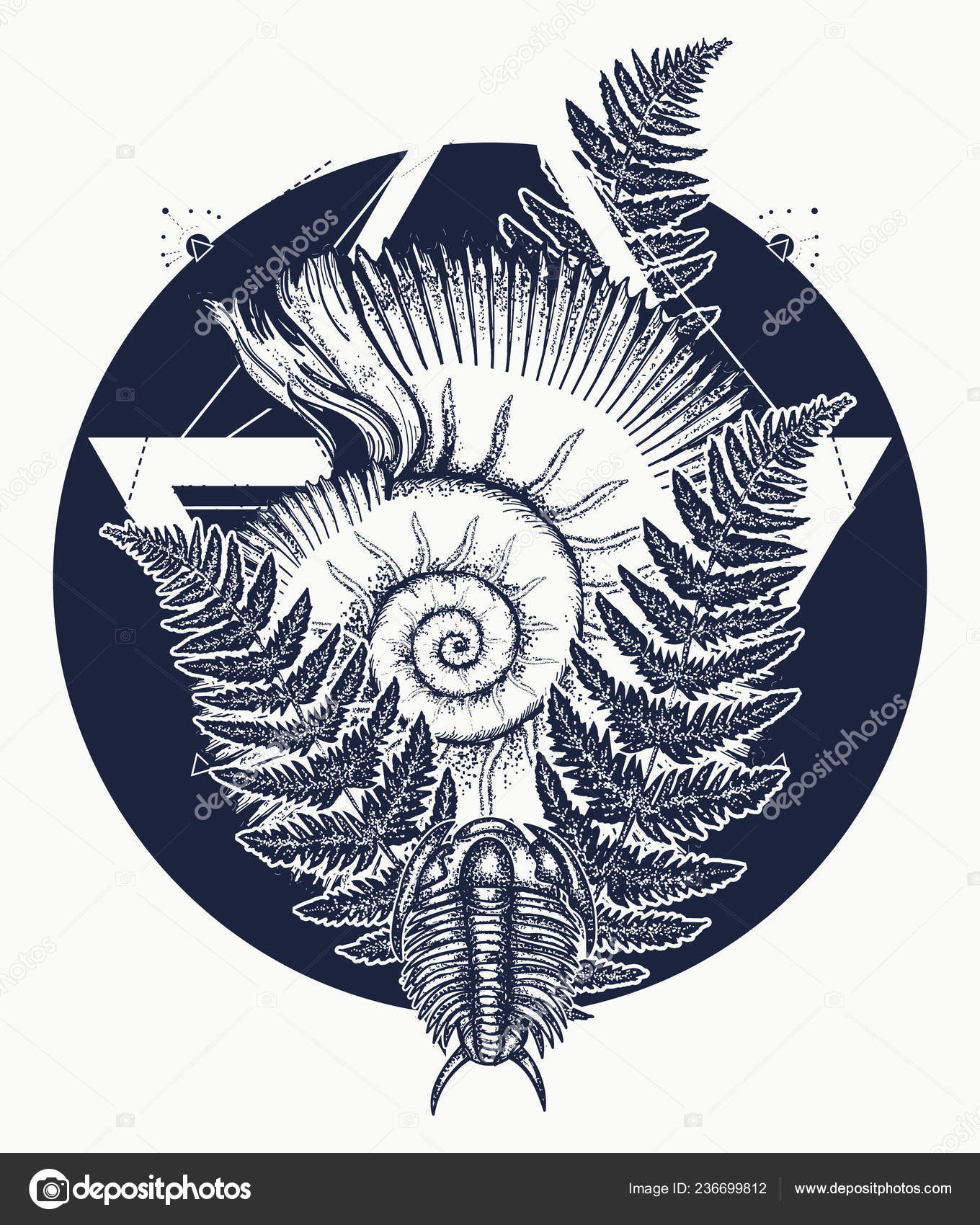 Nautilus Shell Prehistoric Tattoo Art Trilobites Ammonite Fern Tattoo Ancient Vector Image By C Intueri Vector Stock Nautilus Shell Prehistoric Tattoo Art Trilobites Ammonite Fern Tattoo Ancient Vector Image By C Intueri Vector Stock