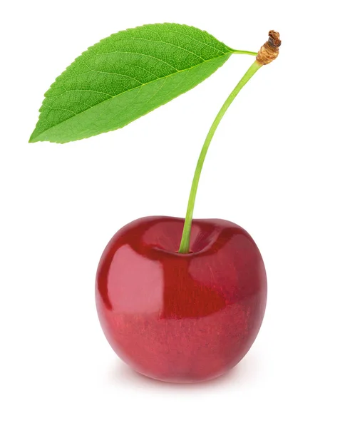 Cherry isolated on a white. — Stock Photo, Image