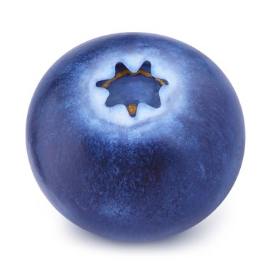 yaban mersini closeup.