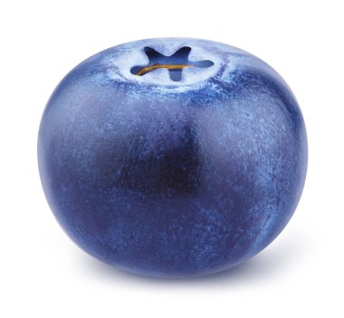 Beyaz izole bataklık whortleberry.