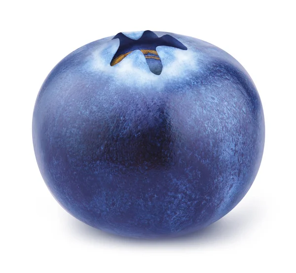 Closeup bataklık whortleberry.