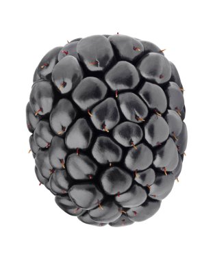 Olgun tek blackberry beyaz izole.