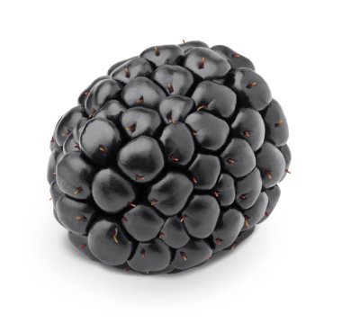 Olgun tek blackberry beyaz izole.