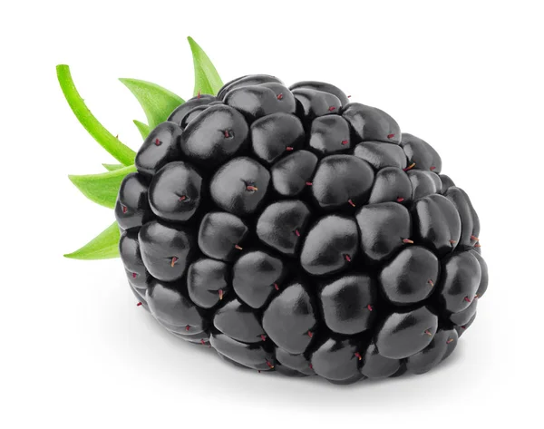 BlackBerry med frukt stammen isolerad på en vit. — Stockfoto