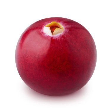 Beyaz bir arka plan üzerinde izole tek kızılcık.