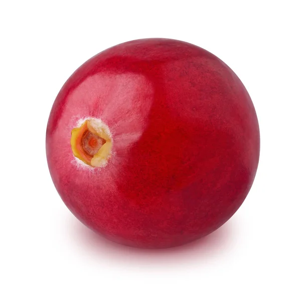 Ενιαία cranberry απομονωθεί σε λευκό φόντο. — Φωτογραφία Αρχείου