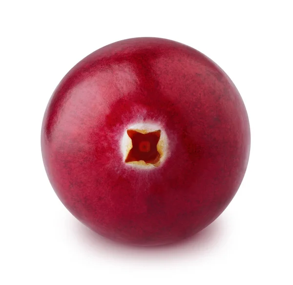 Rijpe cranberry geïsoleerd op een witte achtergrond. — Stockfoto