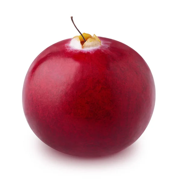 Ώριμα cranberry απομονωθεί σε λευκό φόντο. — Φωτογραφία Αρχείου
