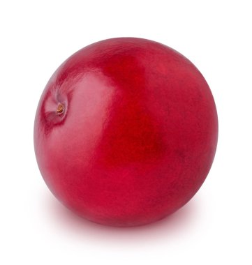 Beyaz bir arka plan üzerinde izole olgun kızılcık.