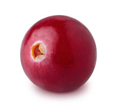 Kızılcık beyaz bir arka plan üzerinde izole makro.