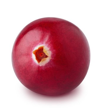 Kızılcık beyaz bir arka plan üzerinde izole makro.