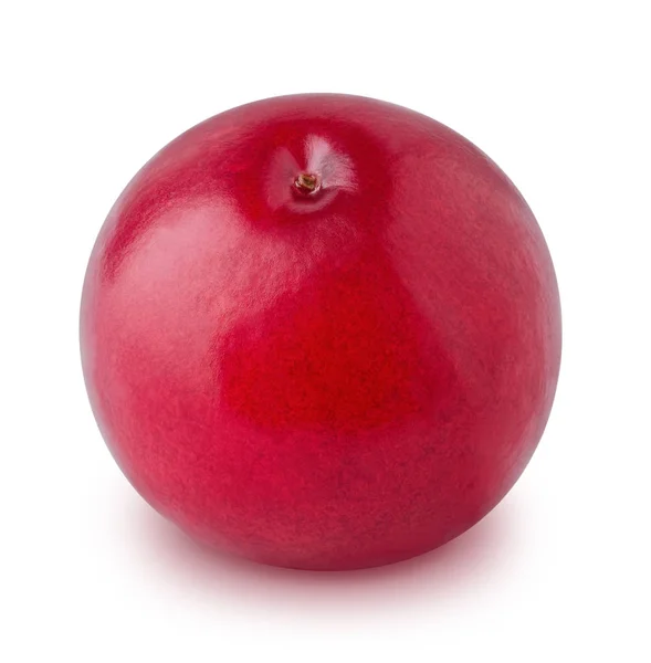 Rijpe cranberry geïsoleerd op een witte achtergrond. — Stockfoto