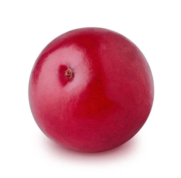 Rijpe cranberry geïsoleerd op een witte achtergrond. — Stockfoto