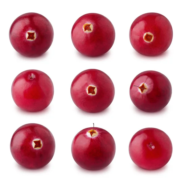 Set of cranberries isolated on a white. — Stock Photo, Image