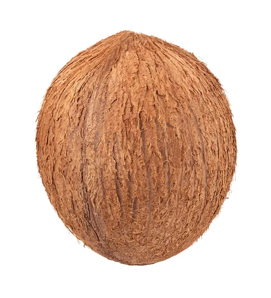 Jeden kokos izolovaných na bílém pozadí. — Stock fotografie