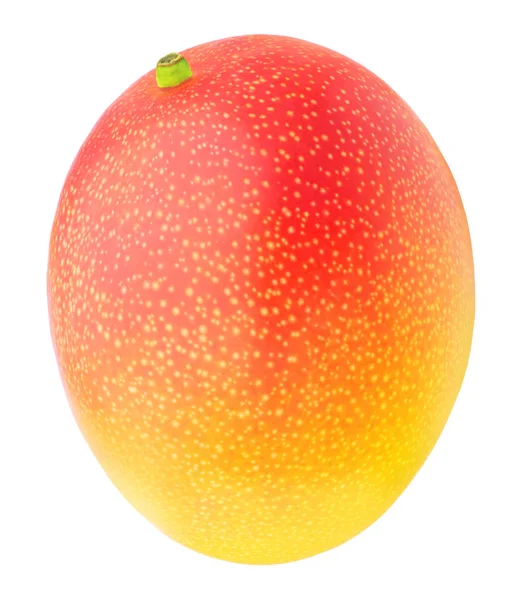 Mango maturo rosso-giallo isolato su un bianco . — Foto Stock