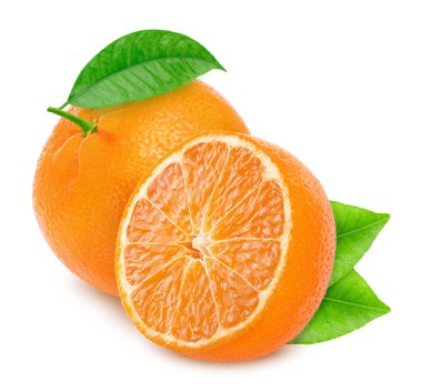 Beyaz arka planda izole edilmiş bütün ve yarıya indirilmiştir.